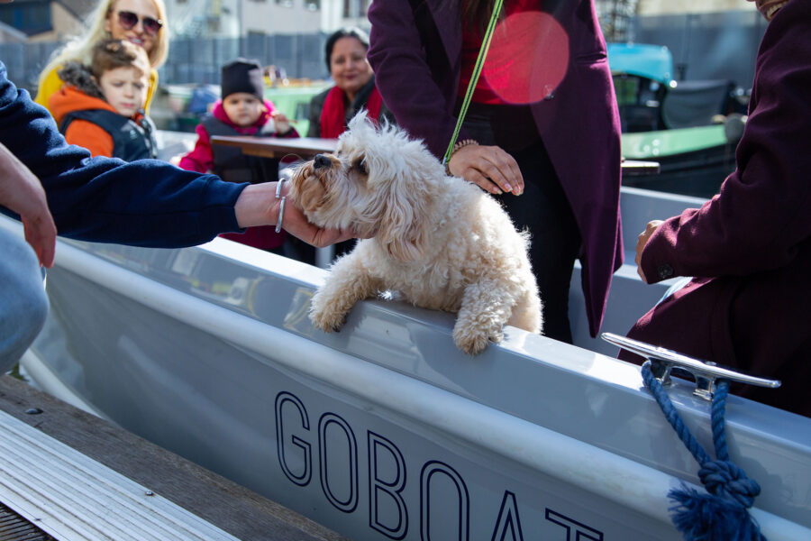 Dog on GoBoat self-drive electric boats for hire from Merchant Square